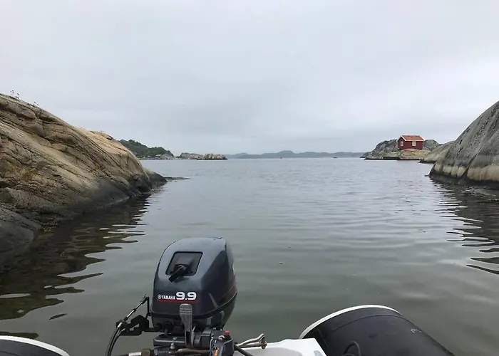 Tjodalyng - Ved Viksfjord - Sokkelleilighet
