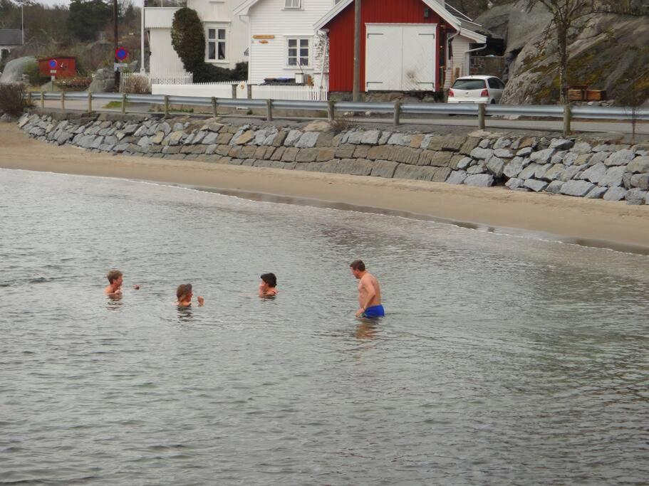 Apartment Tjodalyng - Ved Viksfjord - Sokkelleilighet Larvik